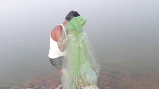 CM Chandrababu: పంట, ఆస్తి నష్టంపై సీఎం చంద్రబాబు సమీక్ష.. 5 రోజుల్లో నివేదిక ఇవ్వాలని అధికారులకు ఆదేశం