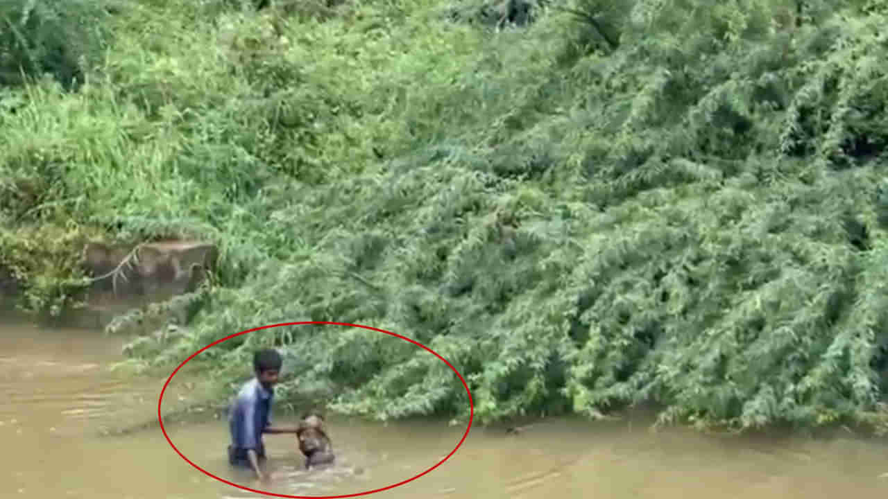 Andhra: కాలువలో తేలియాడుతూ కనిపించిన శవం.. తీరా దగ్గరికి వెళ్లి చూస్తే.. ఊహించని ట్విస్ట్