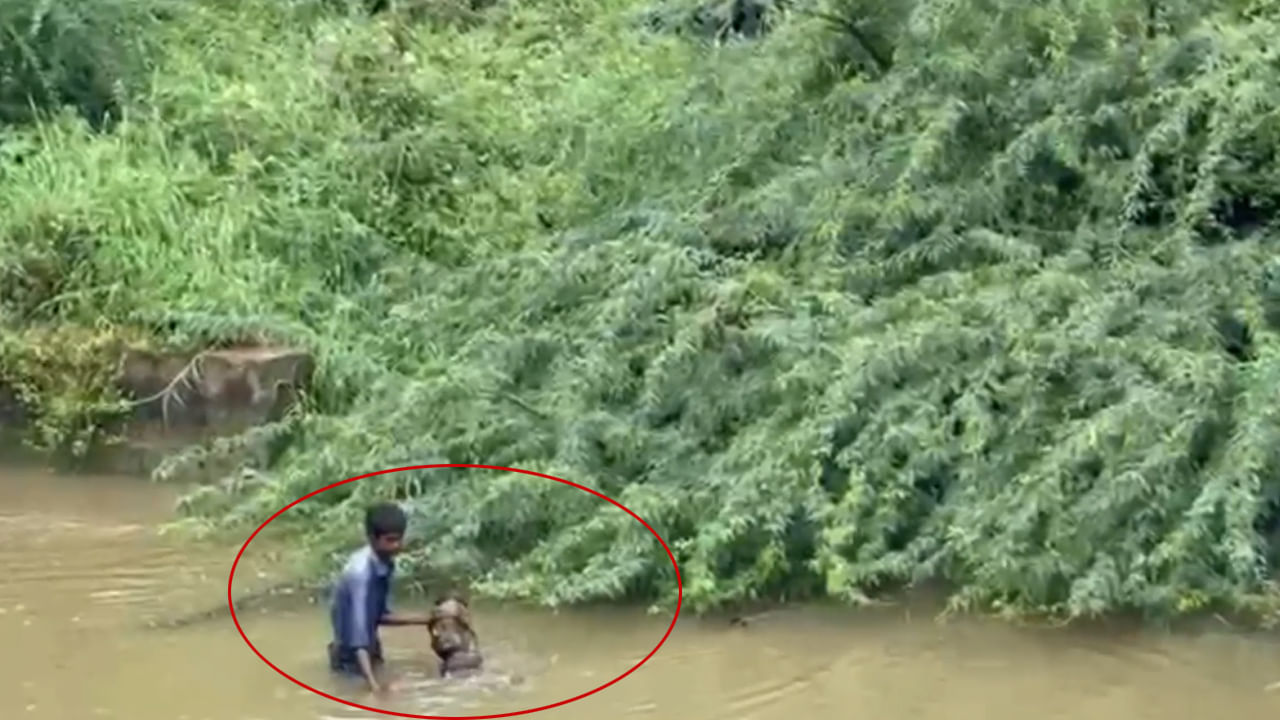 Andhra: కాలువలో తేలియాడుతూ కనిపించిన శవం.. తీరా దగ్గరికి వెళ్లి చూస్తే.. ఊహించని ట్విస్ట్