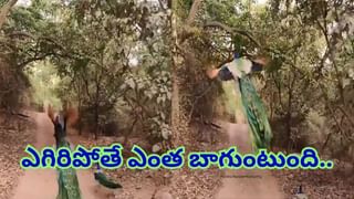 పురాతన చర్చి గోడలో బయటపడ్డ అరుదైన మమ్మీ.. ఆ పక్కనే రాజు సమాధి..ఆ రహస్యం ఏంటంటే..