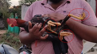 TGSRTC: కర్నూలు ప్రమాదం ఎఫెక్ట్.. ప్రయాణికుల సేఫ్టీకి తెలంగాణ ఆర్టీసీ పెద్దపీట