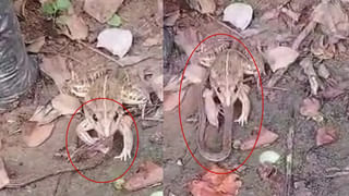 కూతురిని భయపెట్టేందుకు బావిలోకి వేలాడదీసిన తండ్రి.. ఆ తర్వాత జరిగింది తెలిస్తే..