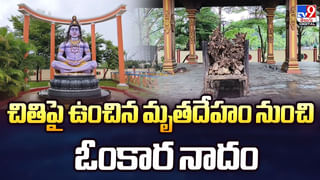 కోతి చేతిలో నోట్ల కట్టలు.. చెట్టెక్కి చెలరేగిపోయిన వానరం