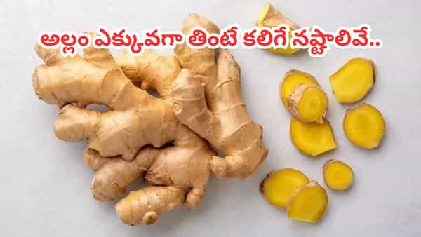 Ginger Side Effects: అల్లం ఎక్కువగా వాడితే అనర్థాలే.. సైడ్ ఎఫెక్ట్స్ తప్పక తెలుసుకోండి..