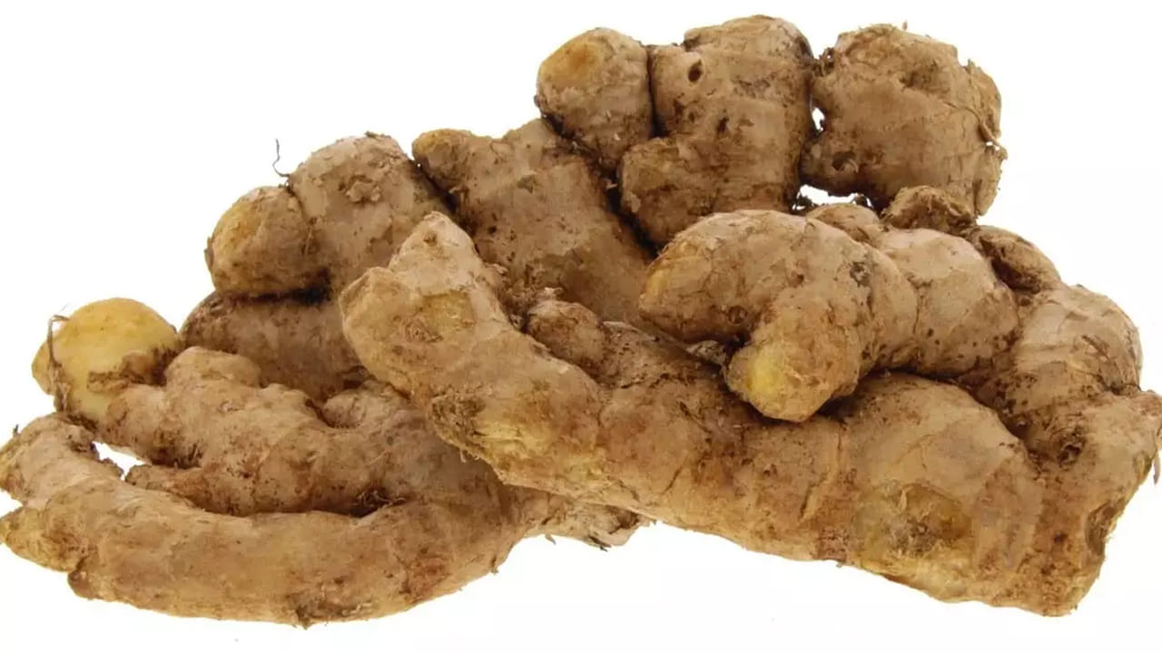 గర్భిణీలు అల్లం తీసుకోవడం అస్సలే మంచిదికాదంట. కొంత మంది మార్నింగ్ సిక్ నెస్ నుంచి బయటపడటానికి అల్లం తీసుకుంటుంటారు. అయితే వీరు చాలా తక్కువమోతాదులో అల్లం తీసుకోవాలంట. వీరు అల్లం ఎక్కువగా తీసుకుంటే గర్భస్రావం లేదా, బిడ్డ ఎదుగుదలపై తీవ్ర ప్రభావం పడే ఛాన్స్ ఉందని చెబుతున్నారు ఆరోగ్య నిపుణులు. అందుకే గర్భిణీలు అల్లం తీసుకునే విషయంలో జాగ్రత్తగా ఉండాలంట.