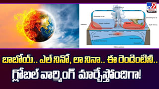 తేనెటీగలపై మొబైల్ రేడియేషన్ ఎఫెక్ట్.. సమీప భవిష్యత్తులో తేనె అనేదే ఉండదా ??