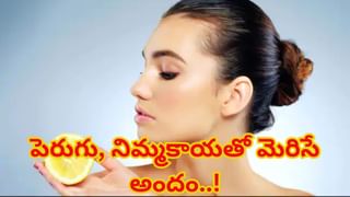 జుట్టు సమస్యలకు మునగాకు ప్యాక్..! ఆరోగ్యమే కాదు అందానికీ మంచిదట.. ఎలా వాడాలంటే..