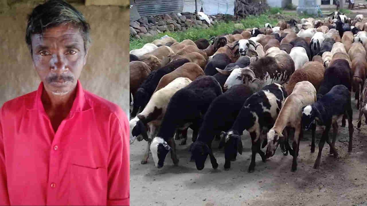 Telangana: మేకలు కాసేందుకు అడవిలోకి వెళ్లిన గిరిజనుడు.. ఎంతకు తిరిగిరాకపోవడంతో..