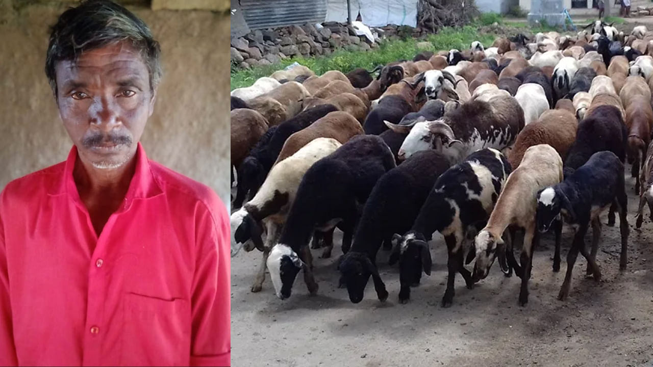 Telangana: మేకలు కాసేందుకు అడవిలోకి వెళ్లిన గిరిజనుడు.. ఎంతకు తిరిగిరాకపోవడంతో..