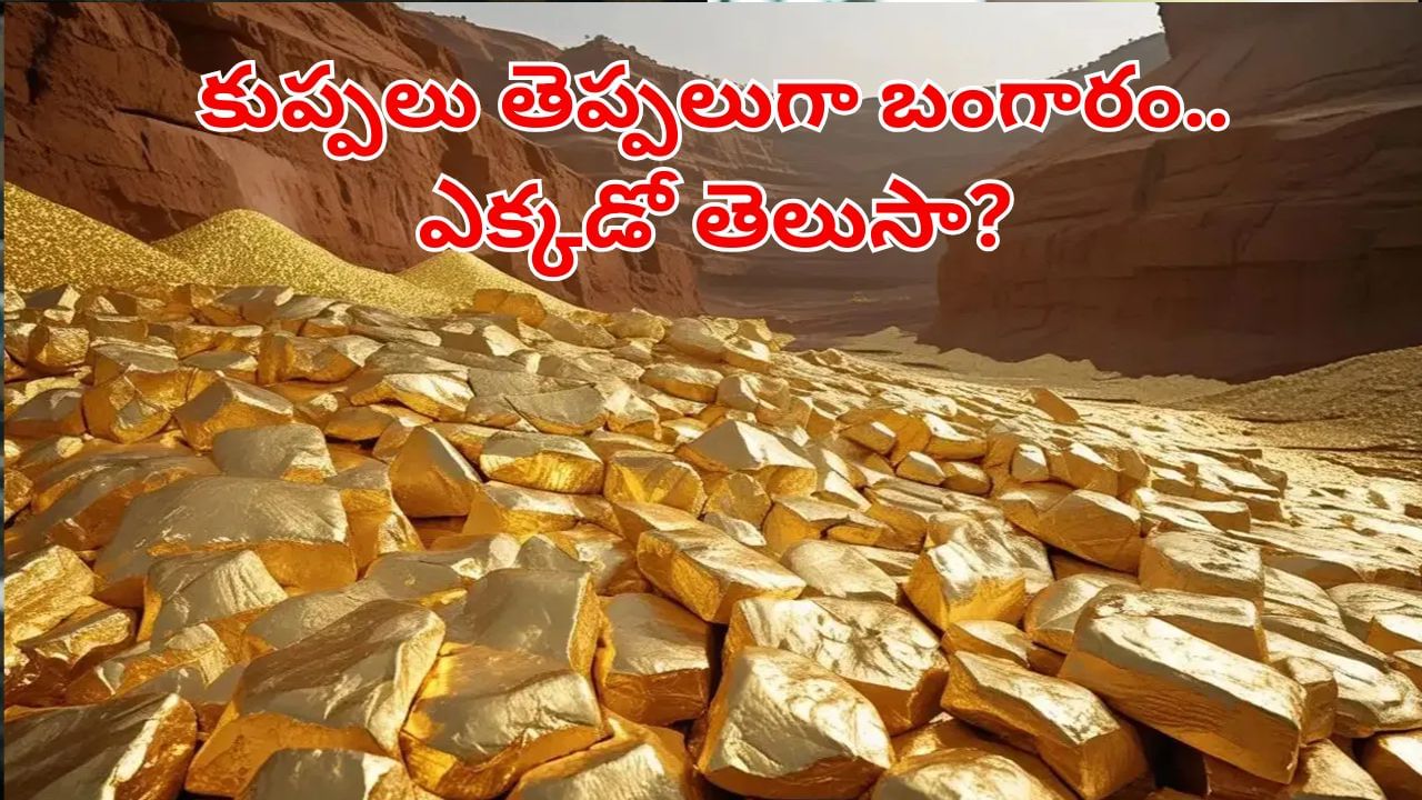 Gold Mine: భారత్‌లో బయటపడ్డ మరో బంగారు గని.. కుప్పలు తెప్పలుగా కనిపించిన నిల్వలు.. ఎక్కడో తెలుసా?