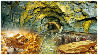 Safest Cars: ఈ కార్లు యాక్సిడెంట్ అవ్వకుండా ఆపుతాయని తెలుసా? ఇండియాలో ఈ ఫీచర్ ఉన్న కార్లు ఇవే..