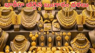 Petrol, Diesel: మీ వాహనంలో ఈ పెట్రోల్‌ కొట్టిస్తున్నారా? మైలేజీ, పికప్‌ పోయినట్లే..!