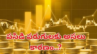 World Fastest Train: ప్రపంచంలోనే అత్యంత వేగవంతమైన రైలు.. రెప్పపాటులో మాయం..