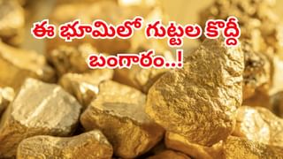 Diwali Bonus: దీపావళి ఇచ్చే బోనస్‌లపై ట్యాక్స్‌ ఉంటుందా? పన్ను నియమాలు తెలుసుకోండి.. లేకుంటే ఇబ్బంది పడతారు!
