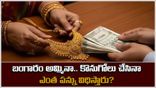 New Electric Scooters: ఈ ఎలక్ట్రిక్ స్కూటర్ ఒక్కసారి ఛార్జ్ చేస్తే 212 కి.మీ.. ధర ఎంతో తెలుసా?