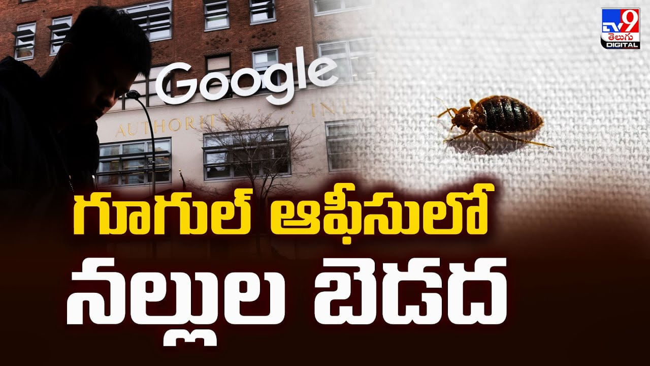 గూగుల్‌ ఆఫీసులో నల్లుల బెడద
