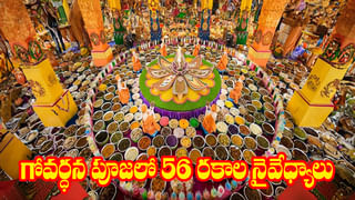 ఫెంగ్ షుయ్ ప్రకారం ఇంట్లో ఈ వస్తువులు పెడితే నెగటివ్ ఎనర్జీ, ఆర్ధిక ఇబ్బందులు దూరం..