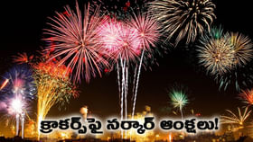 ఆ సమయంలోనే మాత్రమే పటాకులు కాల్చాలి..!