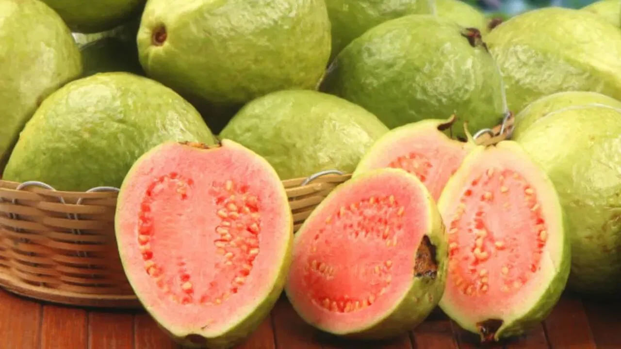 గుండె సమస్యలు ఉన్నవారు కూడా జామకాయలను మితంగా తీసుకోవాలంట. జామ పండ్లు ఆరోగ్యానికి చాలా మంచిది. కానీ వీటిని అధికంగా తీసుకోవడం వలన రక్తపోటు ప్రమాదాన్ని పెంచుతాయి. ఇవి గుండె పై ప్రభావం చూపుతాయి. అందుకే గుండె జబ్బులు ఉన్నవారు కూడా అతిగా జామ పండ్లు తినకూడదంట.