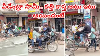 Viral Video: 4 అడుగుల నాగుపాము.. ఒక్క అడుగు ముంగిసకు బలి..! షాకింగ్‌ వీడియో వైరల్‌