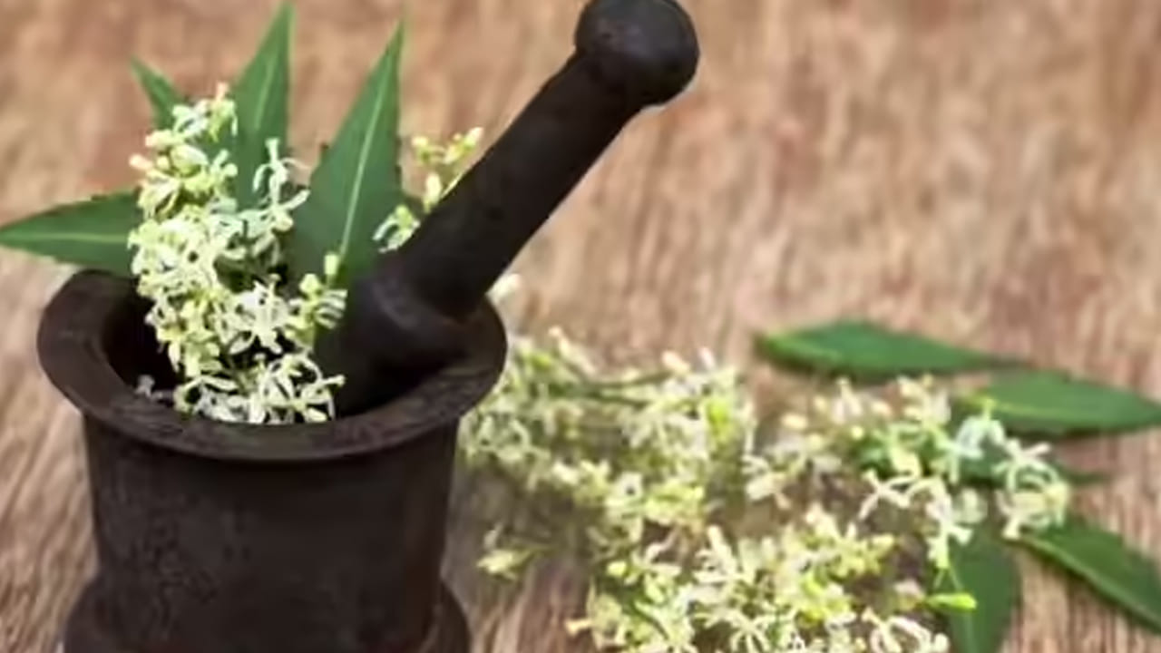  వేప పువ్వు చేదును పేలు తట్టుకోలేవు. అందువలన వేపాకునే కాకుండా వేప పువ్వుతో కూడా పేలను తరిమికొట్ట వచ్చును. దీని కోసం 100 గ్రాముల వేప పువ్వు తీసుకొని దీనిని కొబ్బరిన నూనెతో కలిపి బాగా మరిగించి వడగట్టుకొని, ఆ తర్వాత దీనిని గోరు వెచ్చగా ఉన్నప్పుడే తలకు మసాజ్ చేసుకోవాలి. తర్వాత తలస్నానం చేయాలి. అంతే పేలు అన్నీ రాలి కిందపడిపోయి పోతాయి.