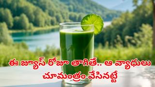 Pippali health benefits: సుగంధ ద్రవ్యాల రాజు..! పిప్పలితో ఆరోగ్య ప్రయోజనాలు తెలిస్తే..