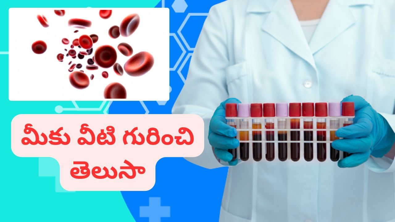 ప్రతి 3 నెలలకు ఈ 4 పరీక్షలు చేయించుకోండి.. ప్రమాదకరమైన వ్యాధులకు దూరంగా ఉండండి..