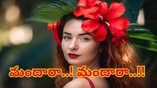 Lucky Plants: వాస్తుప్రకారం మీ ఇంటికి అదృష్టాన్ని తెచ్చే మొక్కలు ఇవి..!