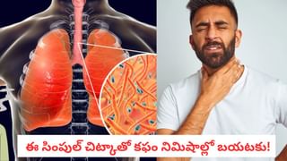 Heart Health: మూసుకుపోయిన బ్లాకులను సైతం తెరిపించగలవు.. మీ డైట్లో ఈ 4 ఉన్నాయా?