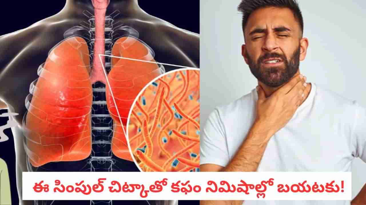 Phlegm Relief: గొంతు, ఛాతీలో పేరుకుపోయిన కఫాన్ని తొలగించే 5 సింపుల్ చిట్కాలు!