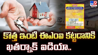 అది నీ పిల్ల కాదే.. నా పిల్ల.. కుక్కపిల్లను ఎత్తుకెళ్లిన కోతి