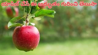 India Land Owners: భారతదేశంలో నిజమైన భూస్వాములు ఎవరు? ఆశ్చర్యపరిచే నిజమిది..