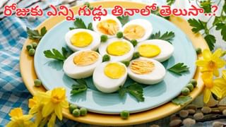 Metro: ఇది విన్నారా.. మెట్రోలో నిద్రపోతే ఫైన్.. ఎంత కట్టాలో తెలిస్తే షాకే..