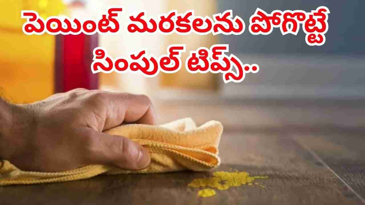 Diwali Cleaning: ఇళ్లంతా పెయింట్ మరకలతో ఇబ్బంది పడుతున్నారా..? ఈ సింపుల్ టిప్స్తో ఇట్టే క్లీయర్..