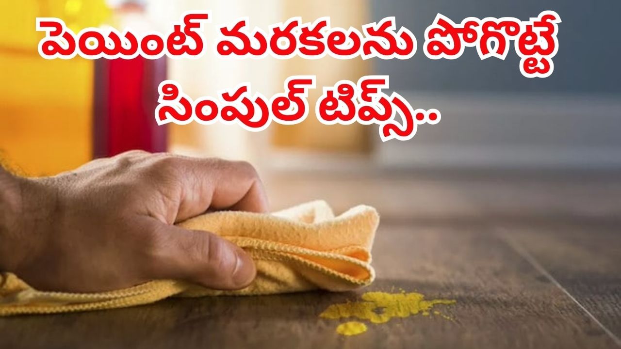 Diwali Cleaning: ఇళ్లంతా పెయింట్‌ మరకలతో ఇబ్బంది పడుతున్నారా..? ఈ సింపుల్‌ టిప్స్‌తో ఇట్టే క్లీయర్..