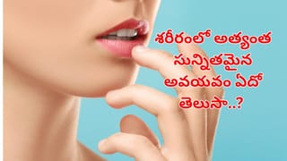 చిన్నగా ఉన్నాయని చీప్‌గా చూసేరు.. ఎన్నో సమస్యలకు బ్రహ్మాస్త్రం.. బాడీలో కొవ్వును ఇట్టే కోసి పడేస్తది..