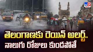గాల్లోనే తెరుచుకున్న ఎమర్జెన్సీ టర్బైన్ వీడియో