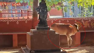 Hyderabad: బాదుడే బాదుడు 3గంటల్లో.. 6వేల చలాన్లు.. రూల్స్‌ పాటించకపోతే చుక్కలే