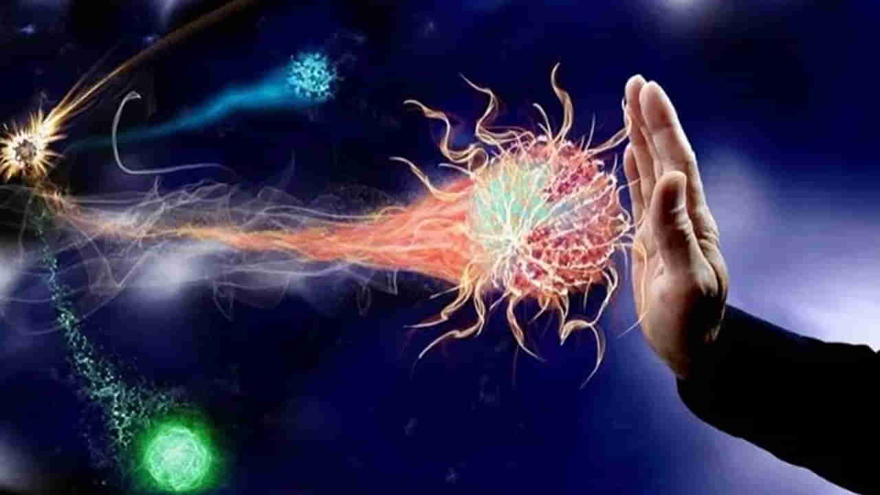 ఇక నో టెన్షన్.. ఇమ్యూనిటీ పవర్ పెరగాలంటే ఇలా చేయండి.. బెస్ట్ ఫుడ్స్తో రోగాలకే చెక్..