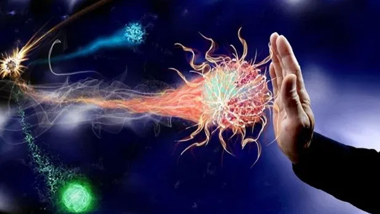 ఇక నో టెన్షన్.. ఇమ్యూనిటీ పవర్ పెరగాలంటే ఇలా చేయండి.. బెస్ట్ ఫుడ్స్తో రోగాలకే చెక్..