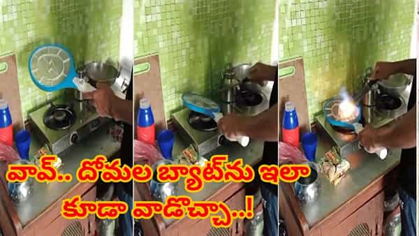 వావ్.. దోమల బ్యాట్ను ఇలా కూడా వాడొచ్చా..! ఇన్ని రోజులు తెలియలేదే..
