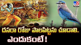 దసరా రోజు పాలపిట్టను చూడాలి.. ఎందుకంటే ??