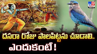 చీరకట్టులో పురుషుల గర్బా డ్యాన్స్‌.. ఎందుకంటే ??