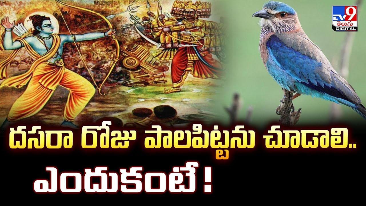 దసరా రోజు పాలపిట్టను చూడాలి.. ఎందుకంటే ??