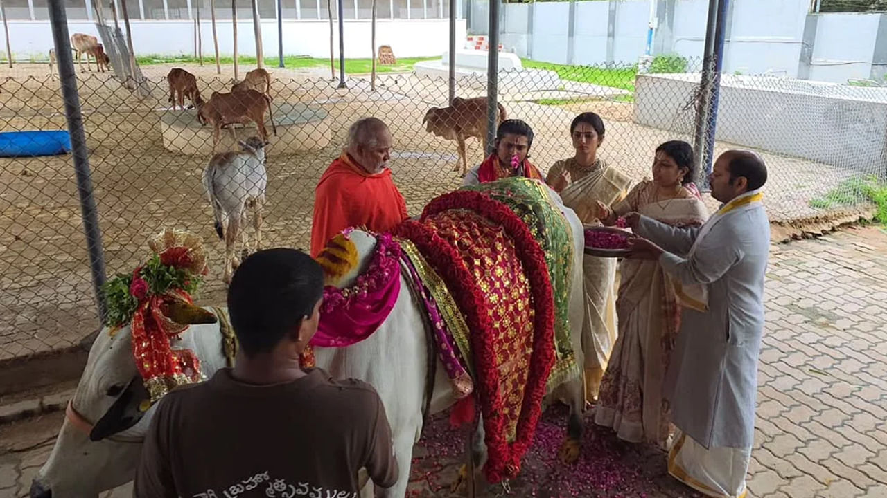  అనంతరం అక్కడే ఉన్న గోశాలకు వెళ్లి అక్కడ గోవులకు ప్రత్యేక పూజలు నిర్వహించాడు. ఇందుకు సంబంధించిన ఫొటోలను సోషల్ మీడియాలో షేర్ చేశాడు.
