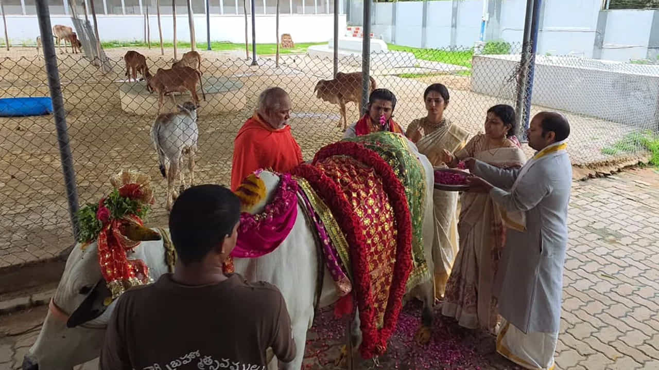  అనంతరం అక్కడే ఉన్న గోశాలకు వెళ్లి అక్కడ గోవులకు ప్రత్యేక పూజలు నిర్వహించాడు. ఇందుకు సంబంధించిన ఫొటోలను సోషల్ మీడియాలో షేర్ చేశాడు.
