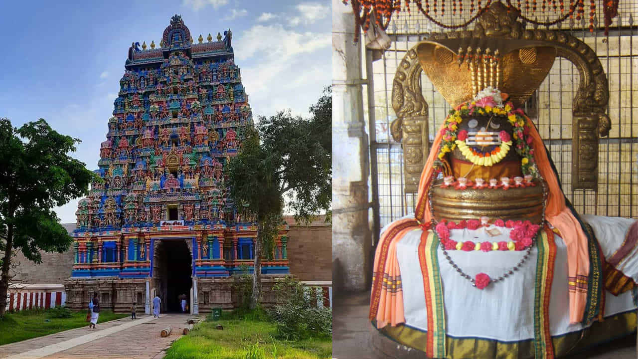 జంబుకేశ్వరర్ ఆలయం, తిరువానైకావల్: జంబుకేశ్వరర్ ఆలయంలోని 'జల లింగం' నీటిని సూచిస్తుంది. తిరువానైకావల్‌లోని కావేరి నది చుట్టూ ఉన్న ఒక ద్వీపంలో ఉంది. ఈ పురాతన ఆలయం దాని ప్రత్యేకమైన నిర్మాణ శైలి, పవిత్ర నీటి కొలనుకు ప్రసిద్ధి చెందింది. భక్తులు భావోద్వేగ శ్రేయస్సు, శుద్ధి, ఆశీర్వాదం కోసం సందర్శిస్తారు. ఇక్కడ శ్రీరంగం రంగనాథస్వామి ఆలయం, రాక్‌ఫోర్ట్ ఉచ్చి పిల్లయార్ ఆలయం, శ్రీరంగం ద్వీపం చూడవచ్చు.