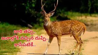 Watch: చుక్క పడ్డాకే అసలు సీన్ మొదలైంది.. కాళికా బార్‌లో సినిమా ఫైటింగ్ రియల్ సీన్.. వీడియో