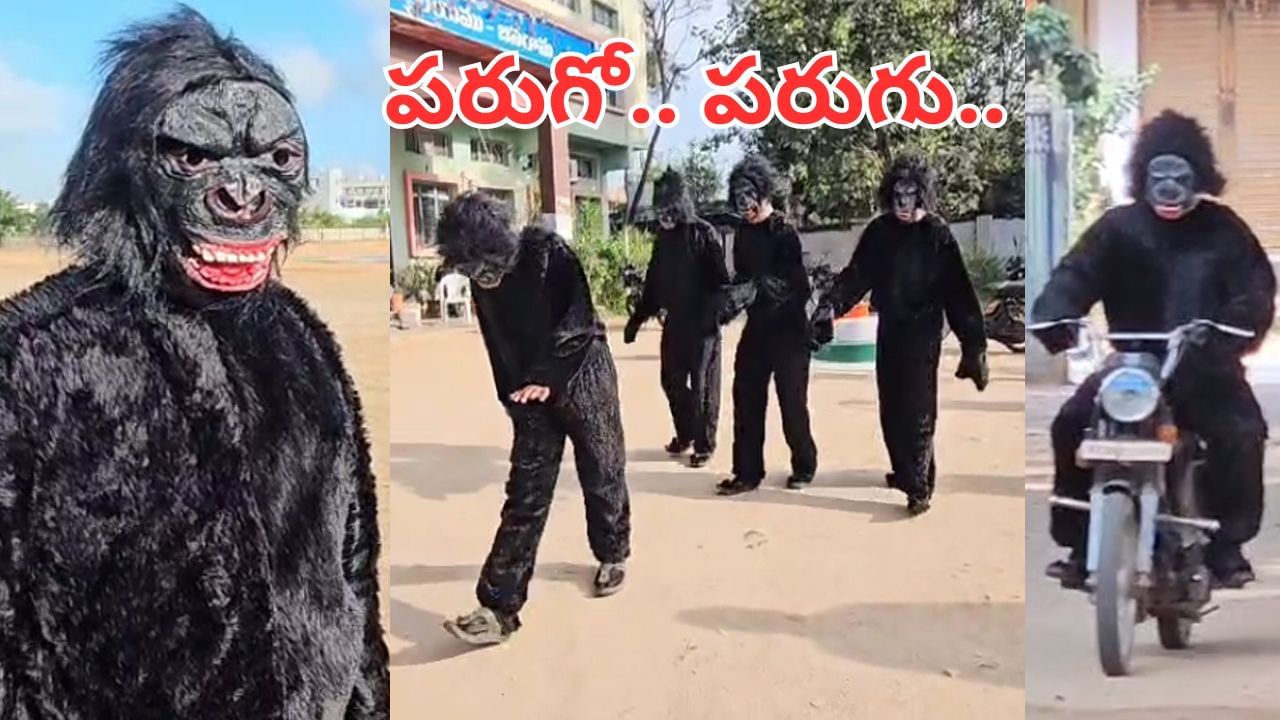 Watch Video: ఇక నో టెన్షన్.. చింపాంజీలు వచ్చేస్తాయ్.. కోతుల నివారణకు భలే ఐడియా