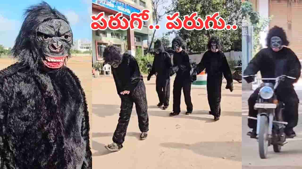 Watch Video: ఇక నో టెన్షన్.. చింపాంజీలు వచ్చేస్తాయ్.. కోతుల నివారణకు భలే ఐడియా